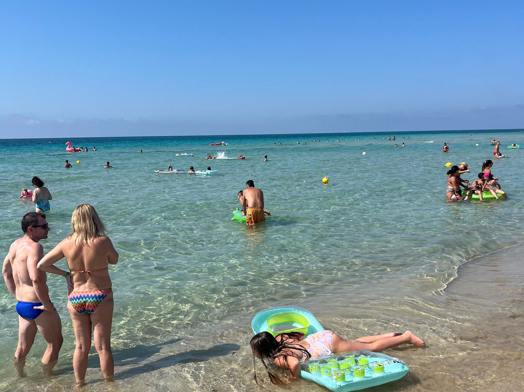 Costa del Salento - Cdshotels主图