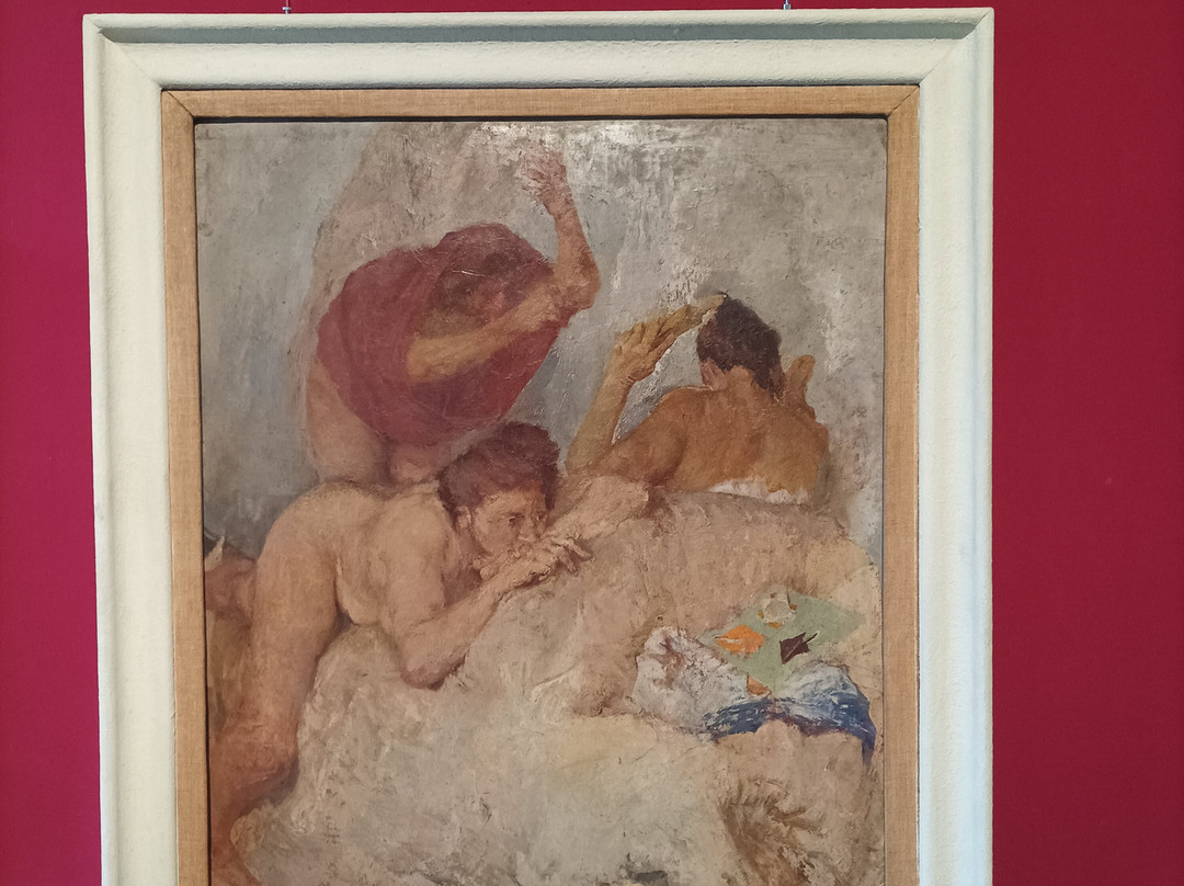 Museo Civico Archeologico e Pinacoteca Edilberto Rosa-Amelia必去景点