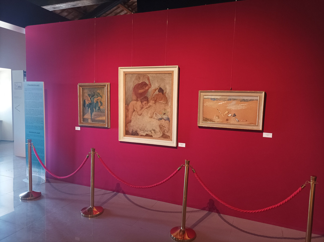 Museo Civico Archeologico e Pinacoteca Edilberto Rosa-Amelia必去景点