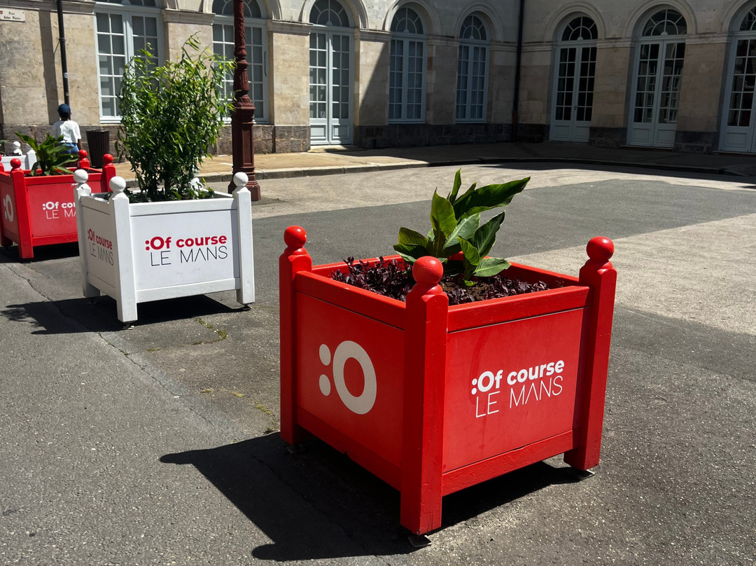 L'Orée du Mans主图