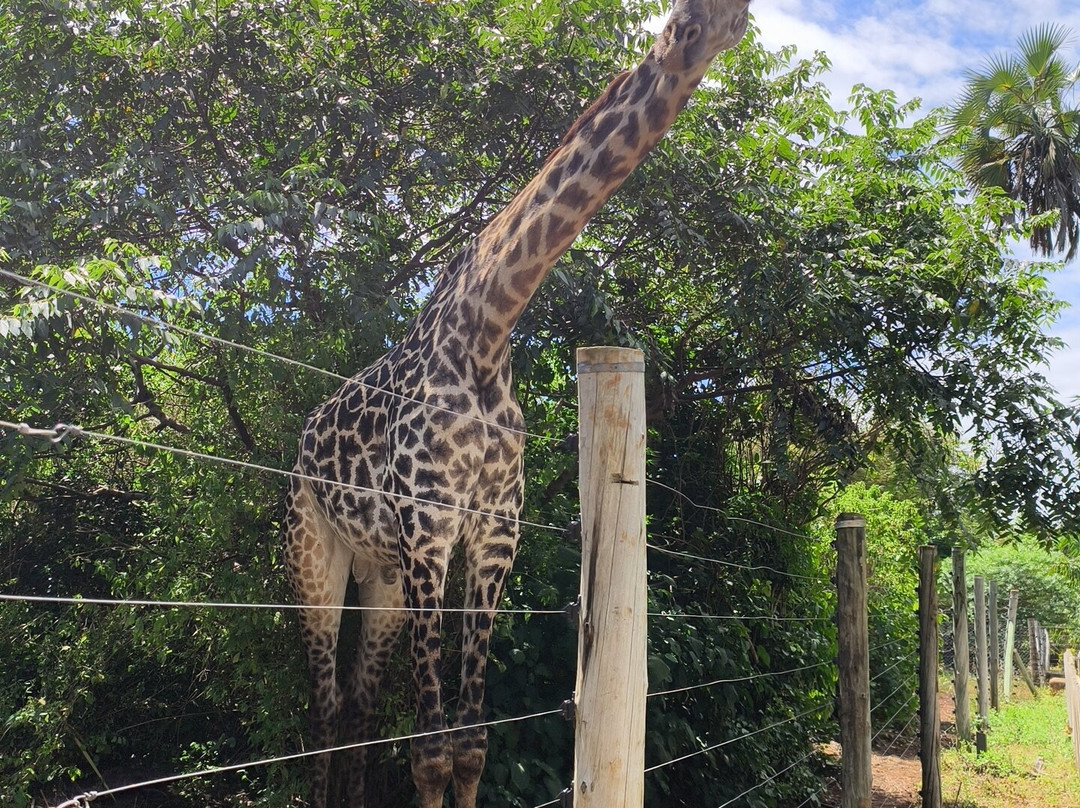 Bora Bora Wildlife Park-迪亚尼必去景点
