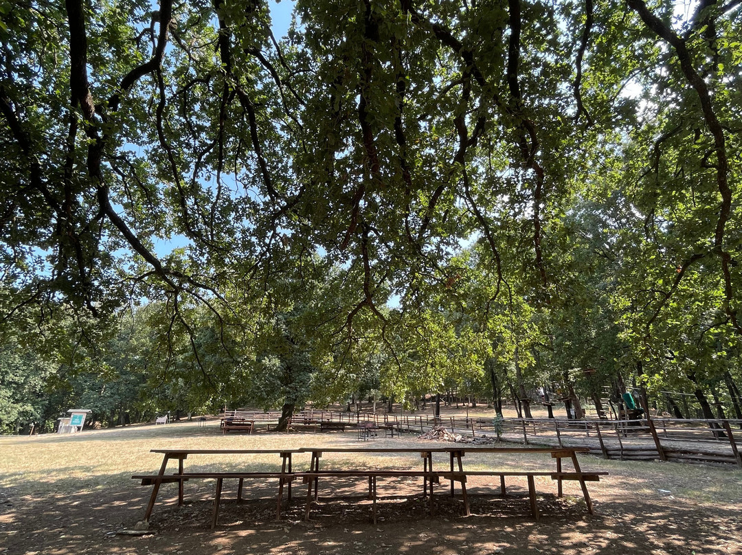 Parco Avventura Postiglione-Postiglione必去景点