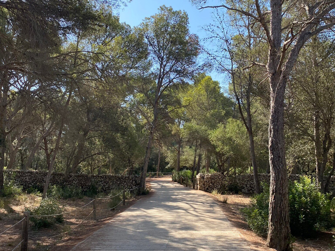 Cala Mitjana-Cala Galdana必去景点