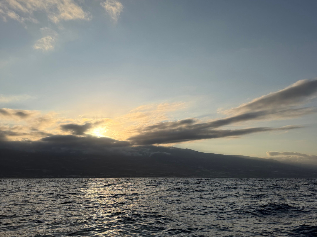 Whale Wise Eco Tours-阿坎提拉德洛斯基必去景点