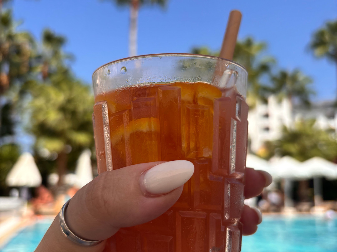 皇家花园海滩酒店 - 全包式主图
