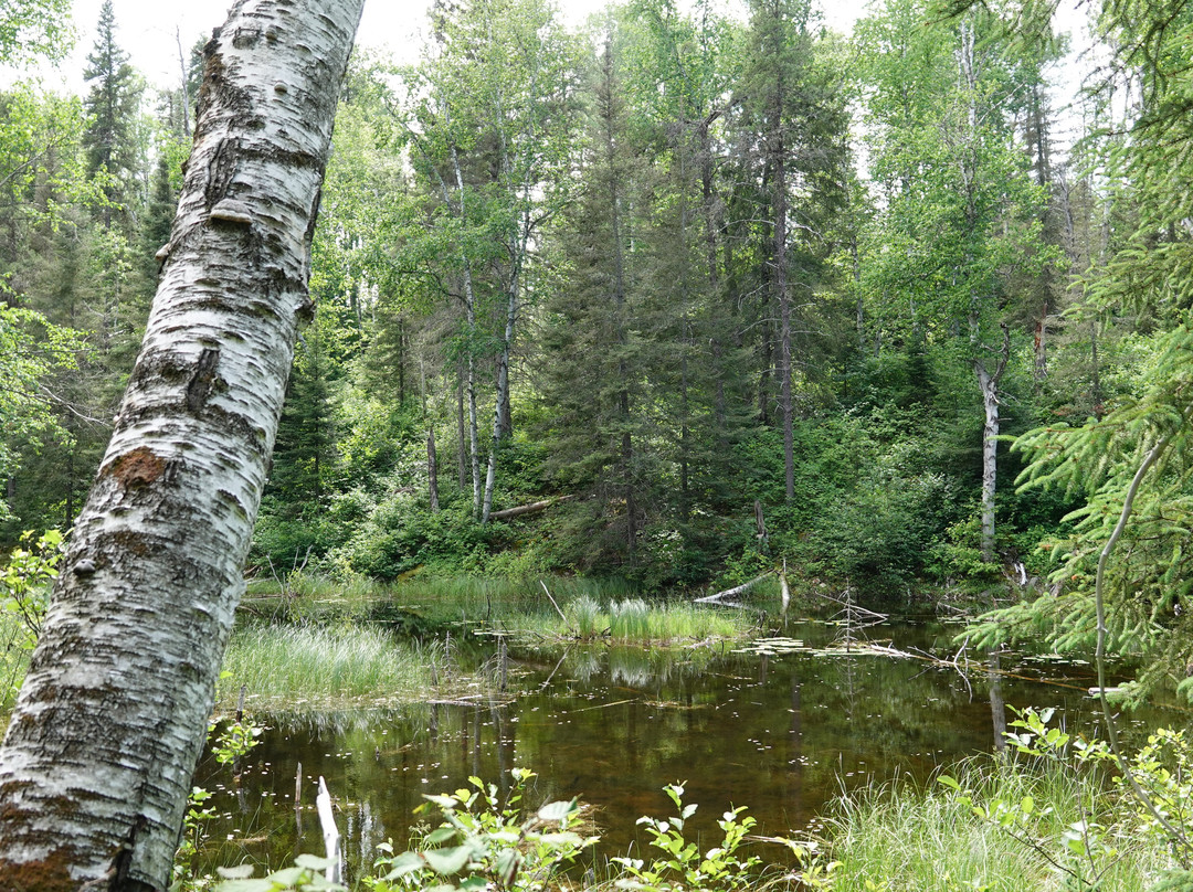 Kettle Lakes Provincial Park-Timmins必去景点