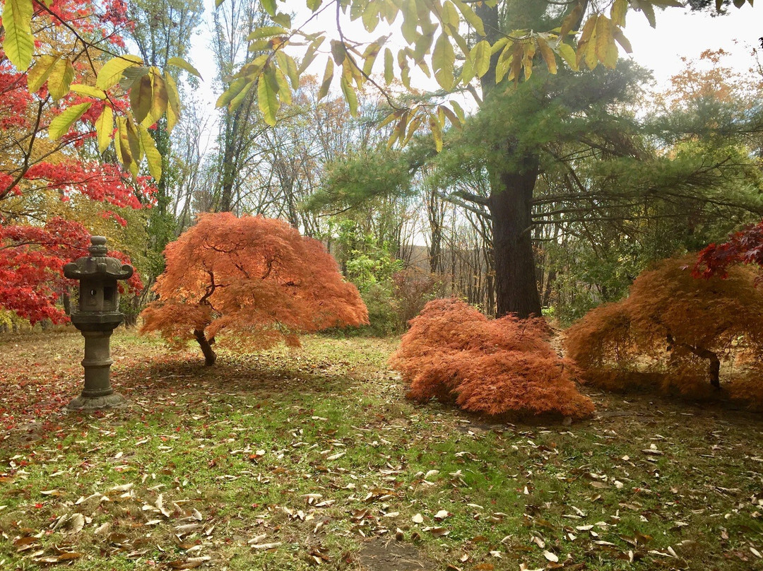 Hammond Museum and Japanese Stroll Garden-North Salem必去景点