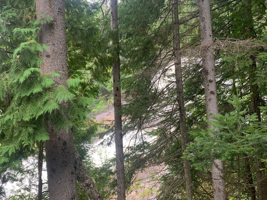 Parc des Chutes de la Petite Rivière Bostonnais-La Tuque必去景点