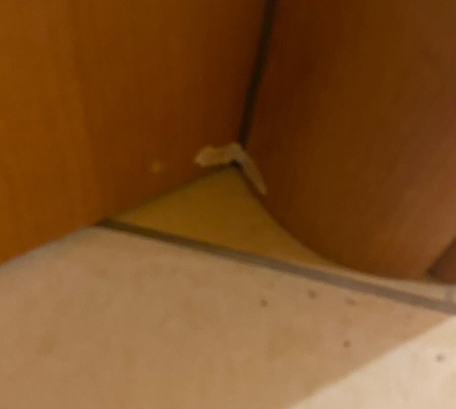 圣来奥纳多别墅酒店主图