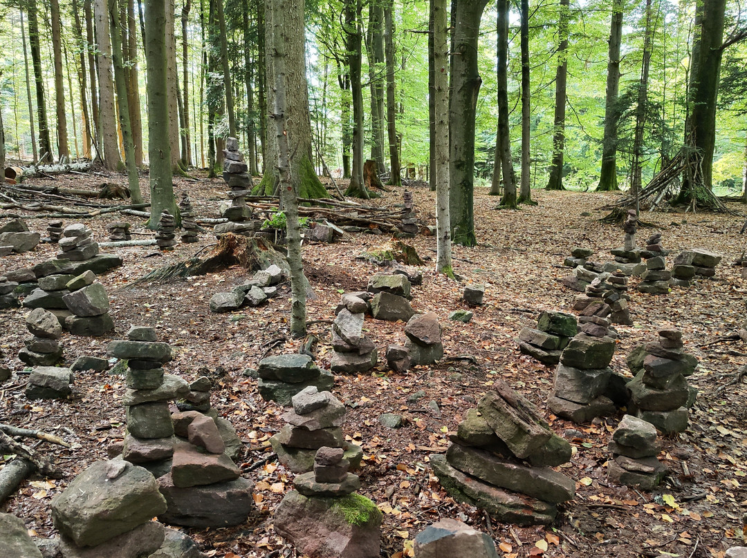 Baumwipfelpfad Schwarzwald-Bad Wildbad必去景点