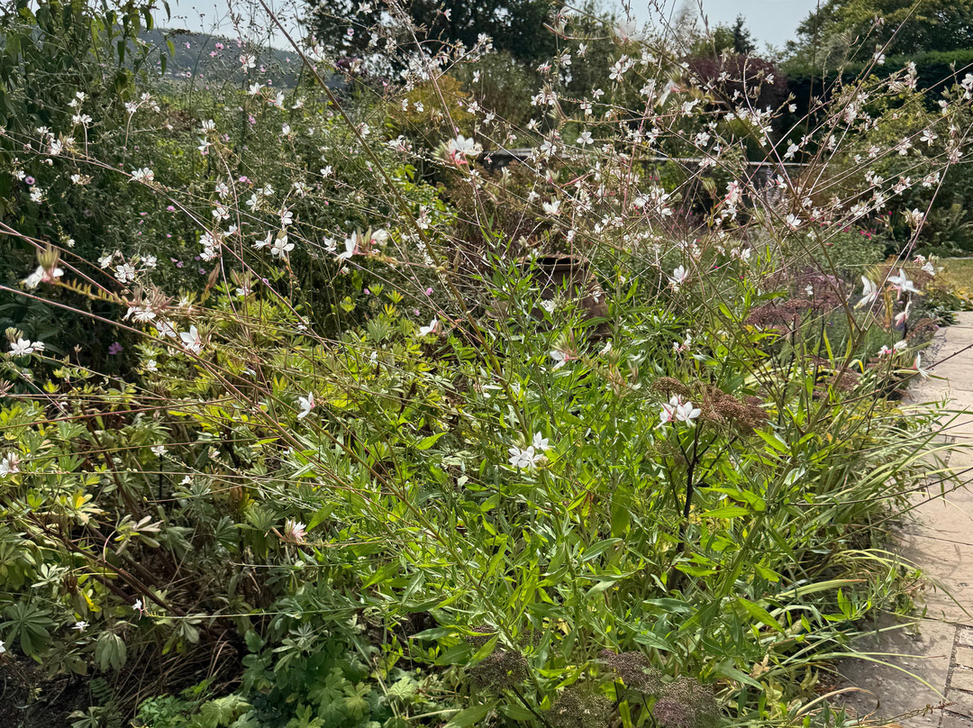 Burrow Farm Gardens-Dalwood必去景点