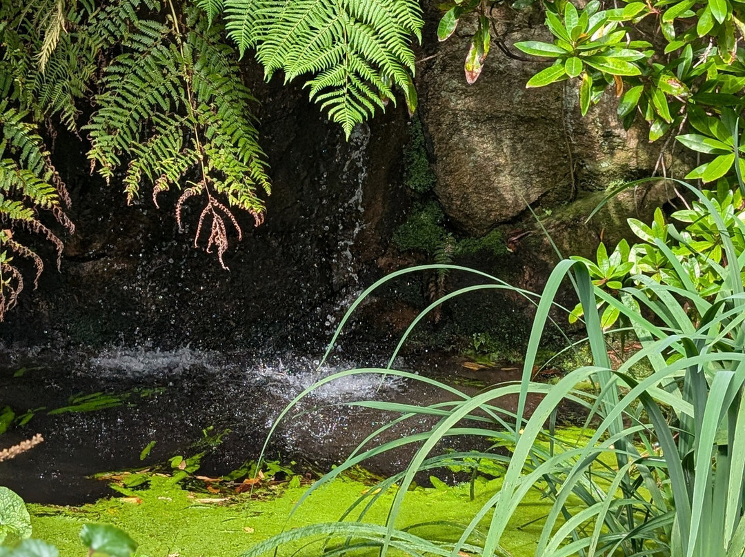 水车旅馆主图