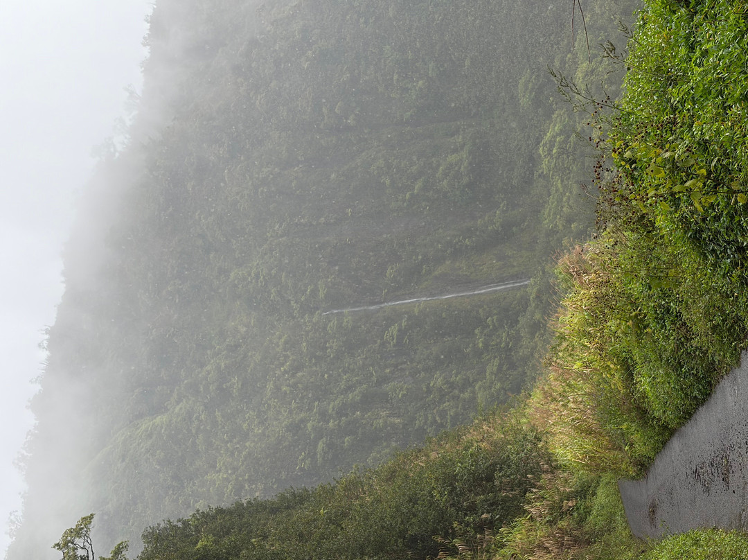 Ciao Tahiti Excursions 4x4 - Day Tours-普纳奥亚必去景点