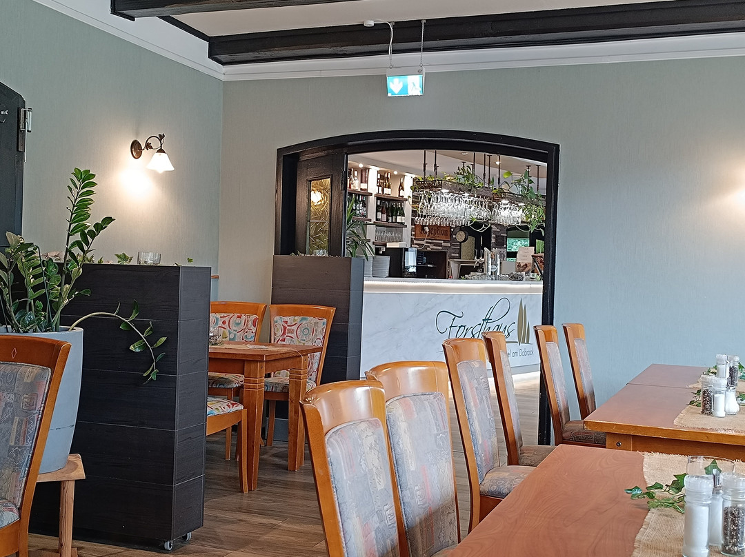 Forsthaus-Ferienhotel am Dobrock主图