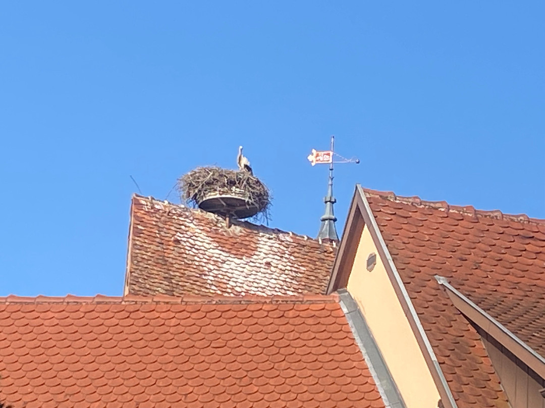 village d'Eguisheim-艾古斯汉必去景点