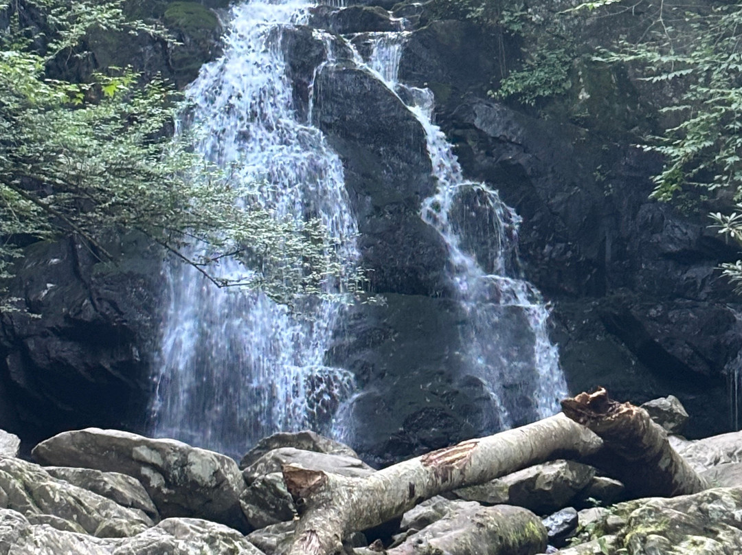Spruce Flats Falls-大雾山国家公园必去景点