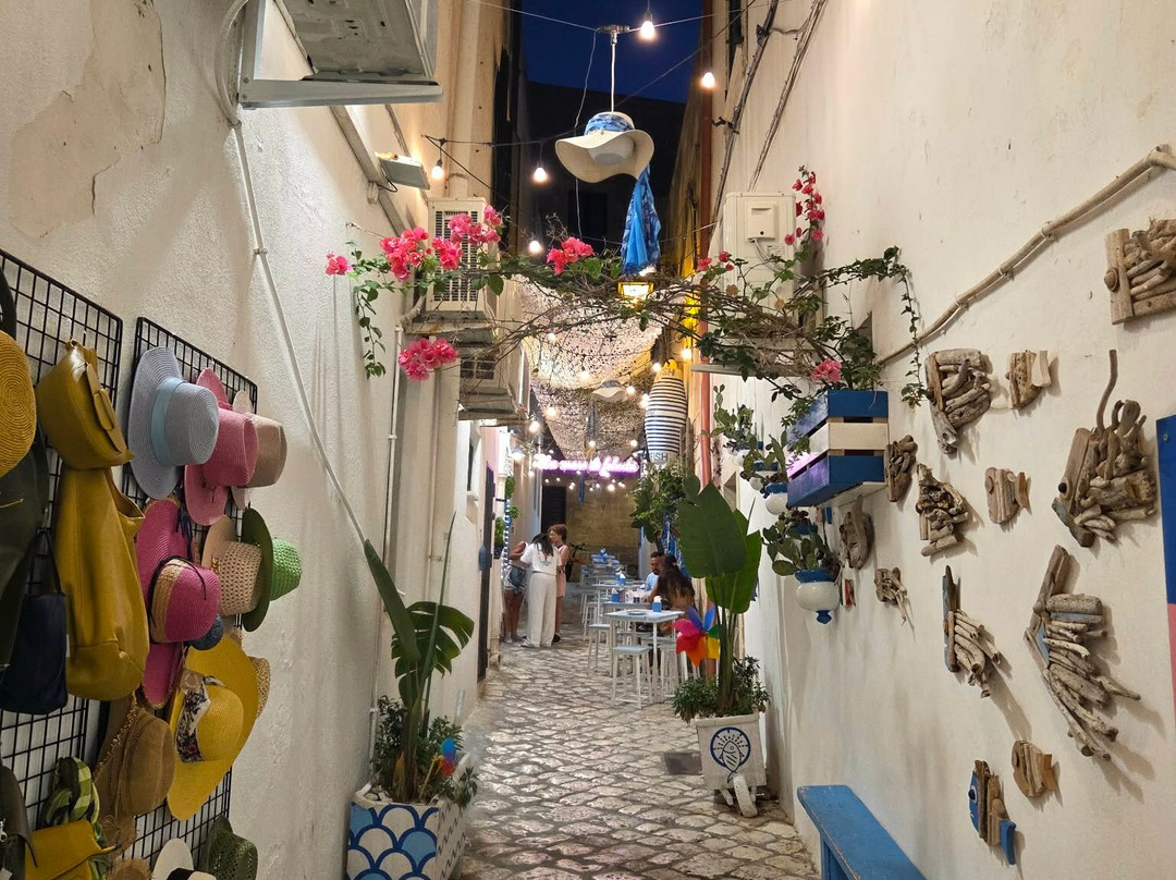 罗萨安迪克酒店主图