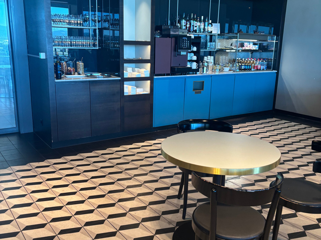 Aspire Lounge at Zurich Airport-奥普菲孔必去景点