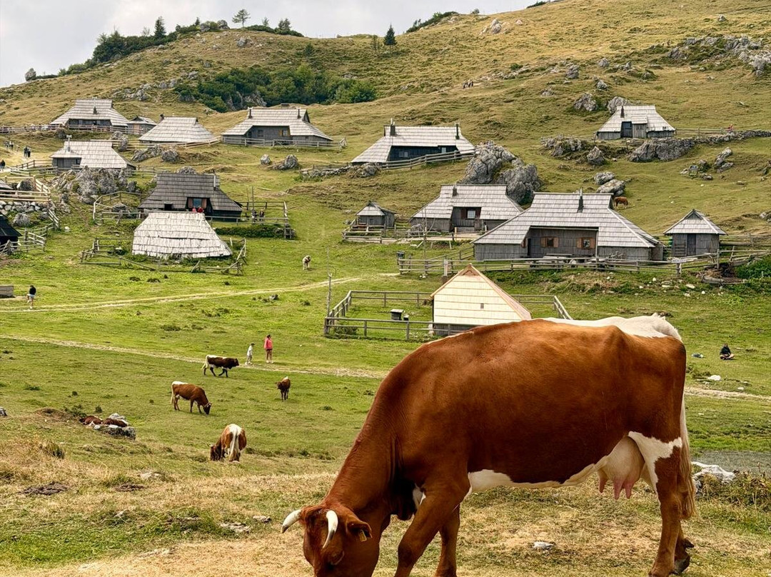 Velika Planina-Stahovica必去景点