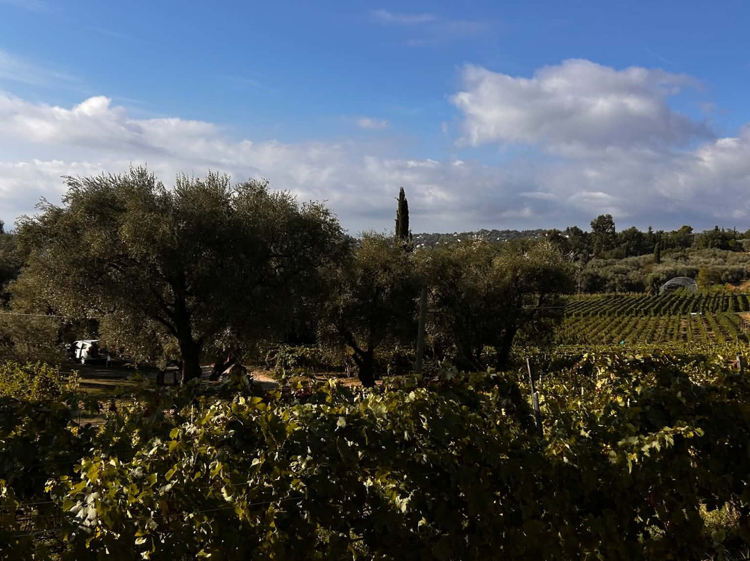 Vignoble Rasse-Saint Jeannet必去景点