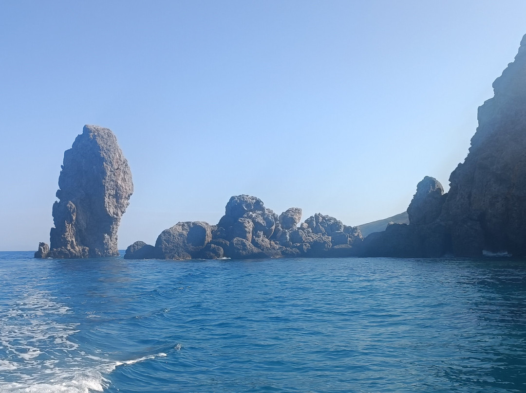 Max Shark Diving-Isola del Giglio必去景点