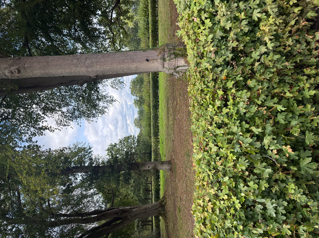 Kew Wakehurst-Haywards Heath必去景点