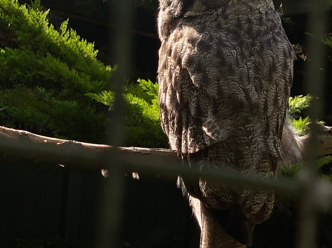 Scottish Owl Centre-Whitburn必去景点