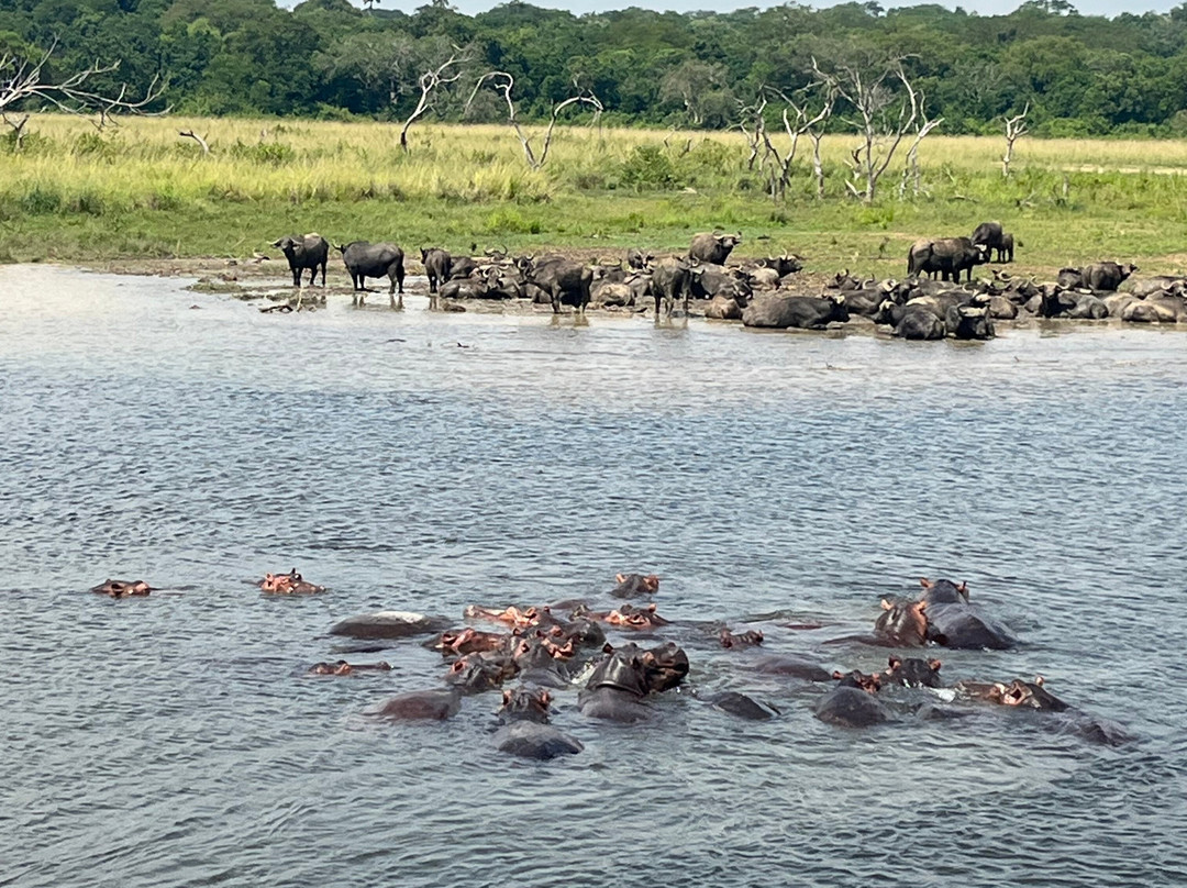Grassrootz Adventures Uganda-坎帕拉必去景点
