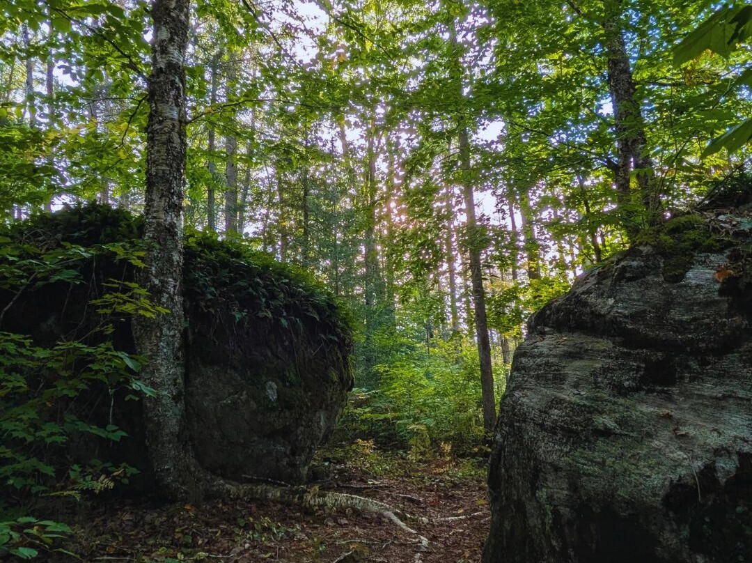 Sentier Pédestre Boisé Joseph BB Gauthier-Lac-Saguay必去景点