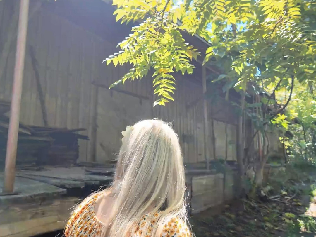 Henry River Mill Village-希科里必去景点