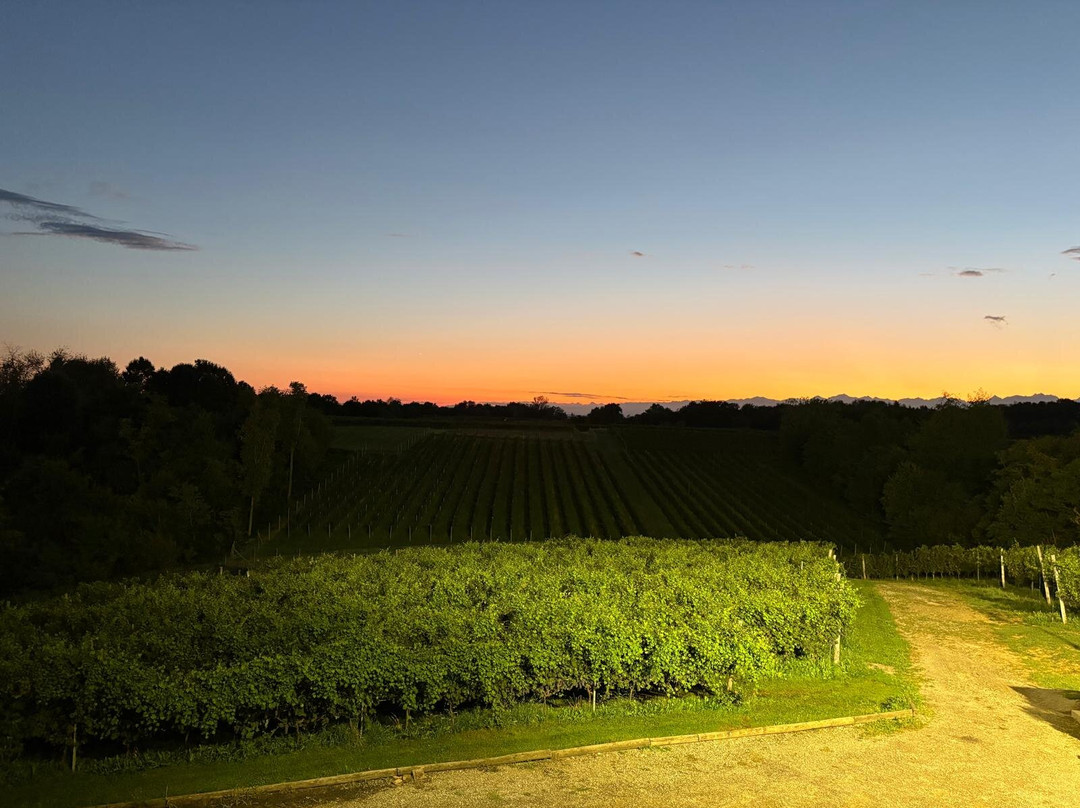 Azienda Vitivinicola e Agriturismo Enrico Crola-Mezzomerico必去景点