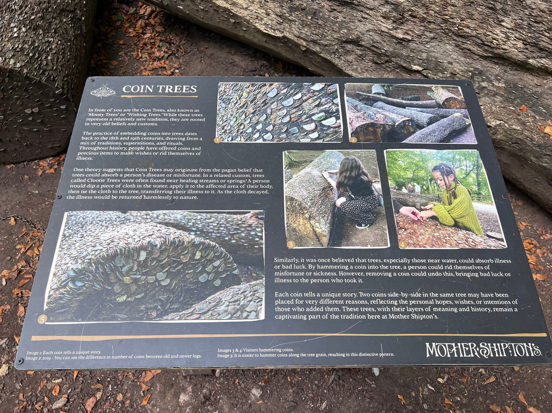 Mother Shipton's Cave-Knaresborough必去景点