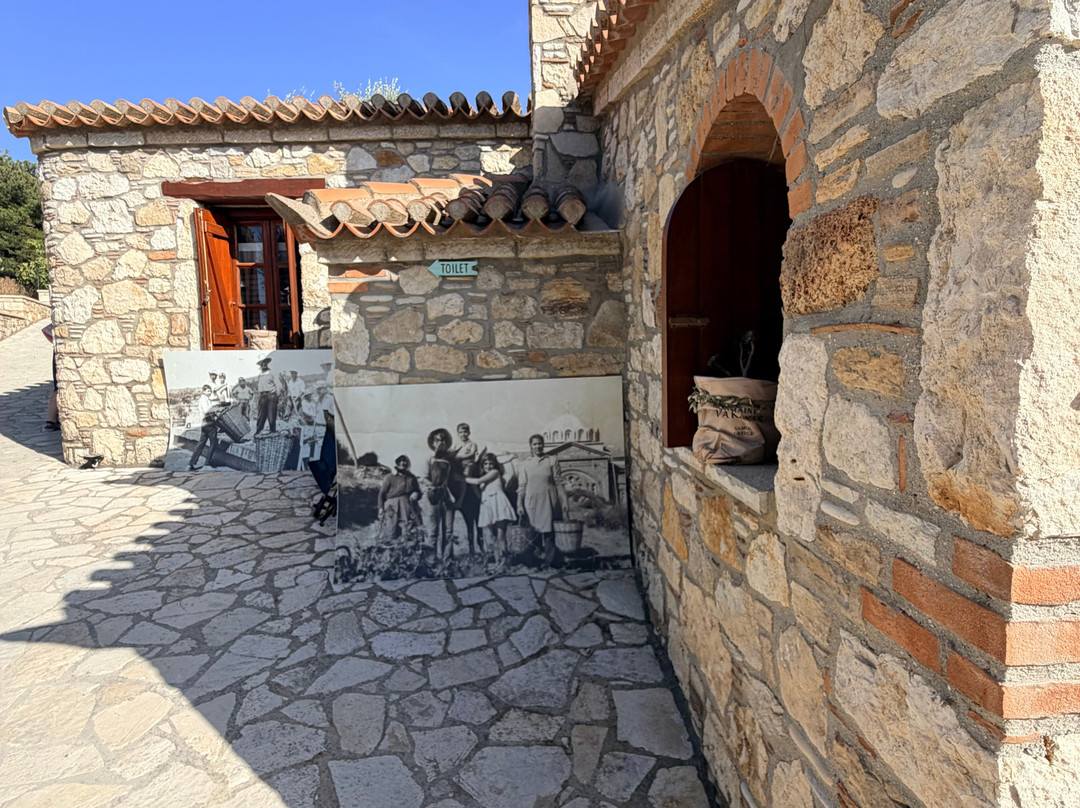 Vakakis Winery-Karlovasi必去景点