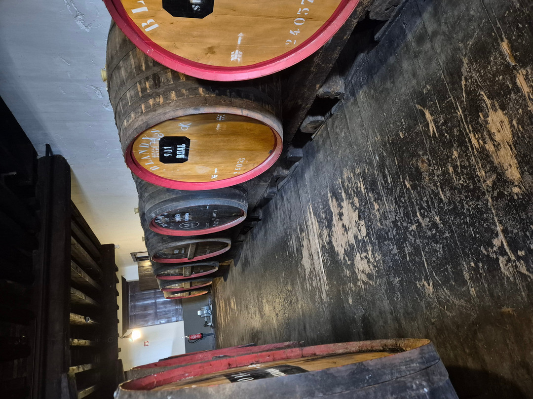 Blandy's Wine Lodge-沙尔必去景点