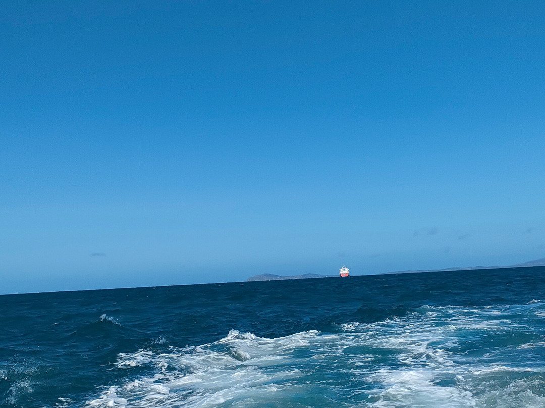 Pembrokeshire Islands Boat Trips-Marloes必去景点
