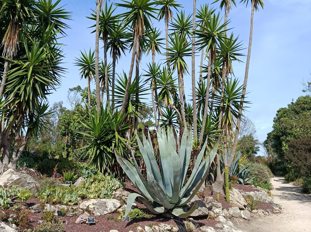 Jardin Exotique et Botanique de Roscoff-罗斯科夫必去景点