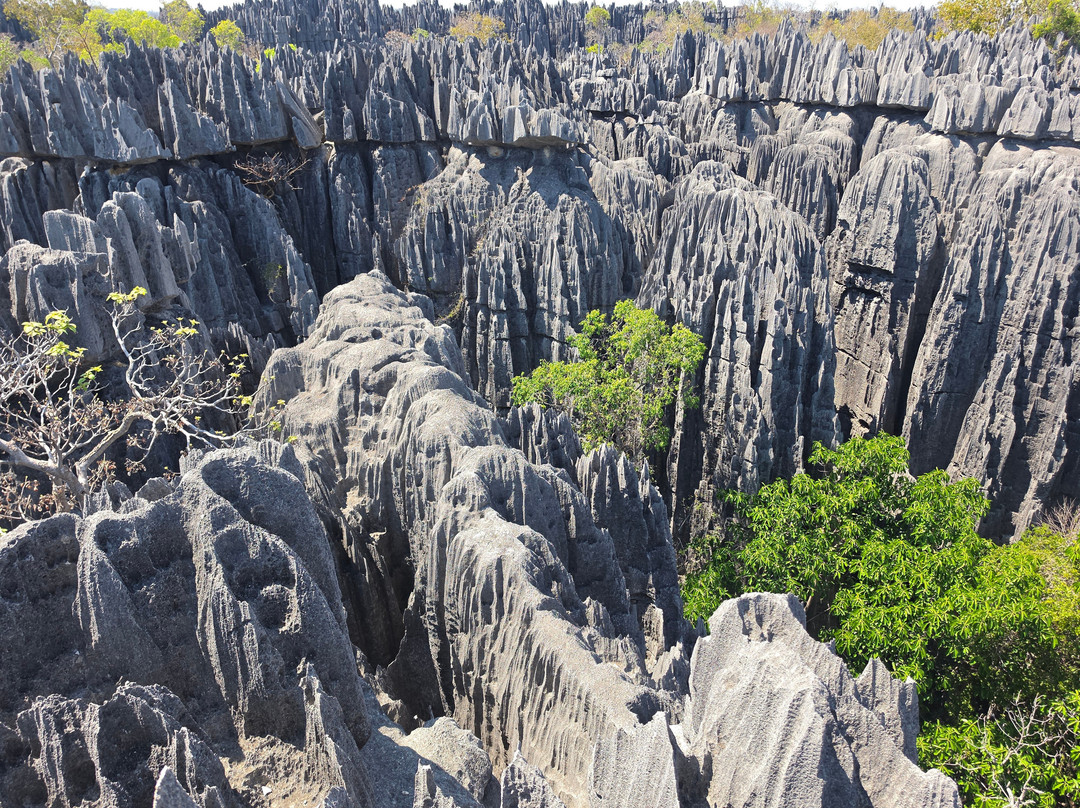 青贝马拉哈严格自然保护区-Tsingy de Bemaraha National Park必去景点