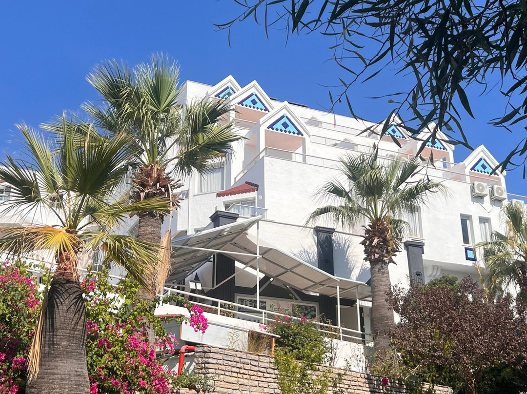 Roseira Beach Resort主图