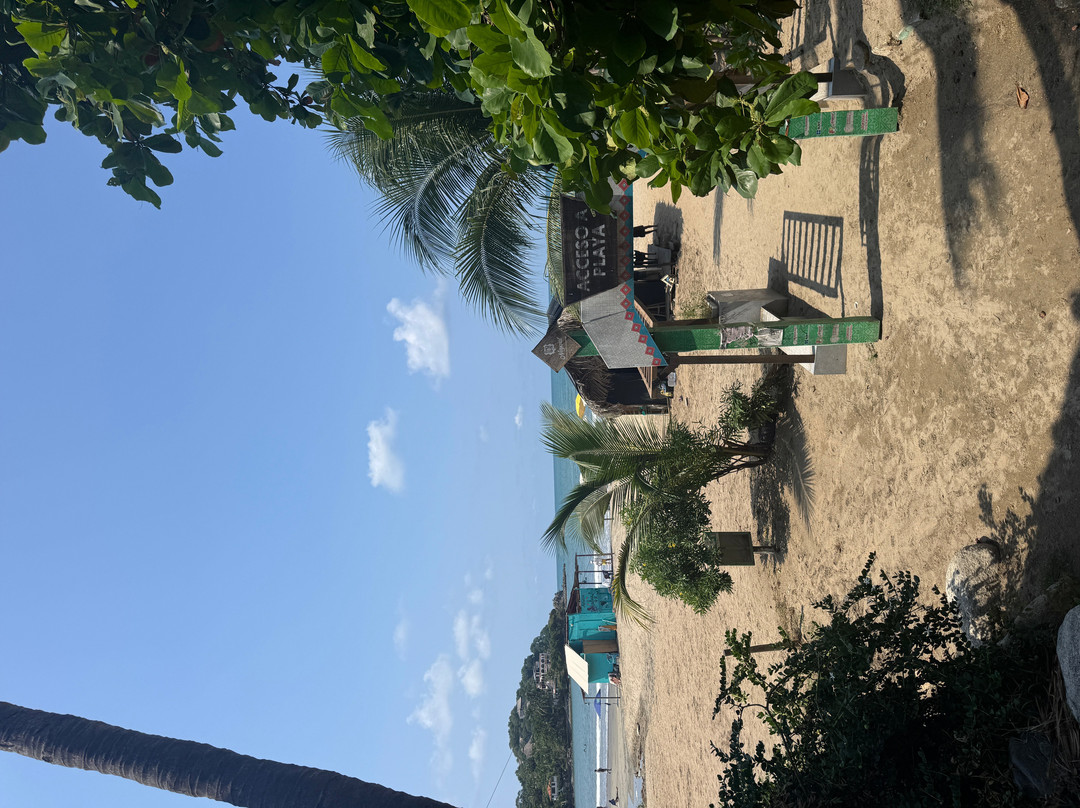 Vallarta Adventures-新瓦雅塔必去景点