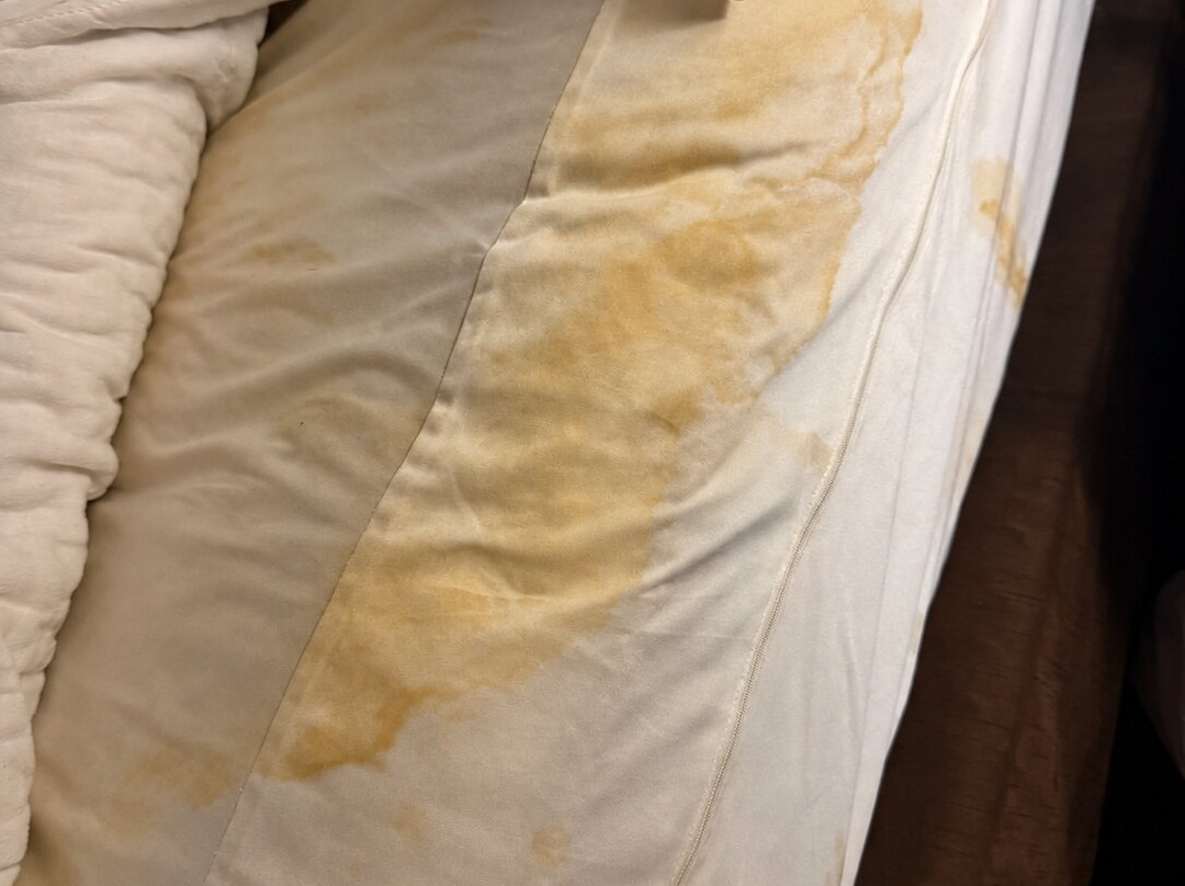 佛伦伦萨I-95舒适套房酒店主图