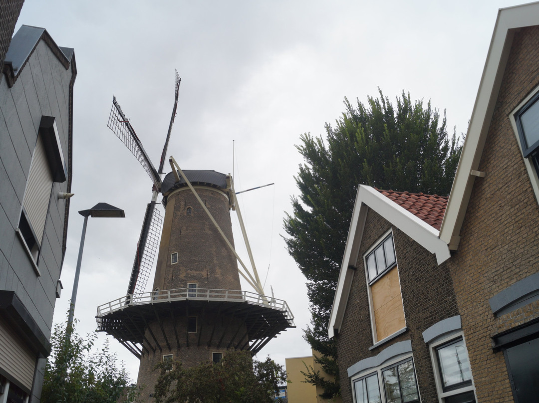 Red Lion Windmill (Molen De Roode Leeuw)-高德必去景点