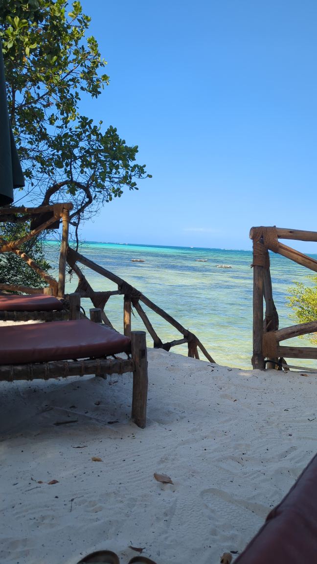 The Island - Pongwe Lodge-旅行者
