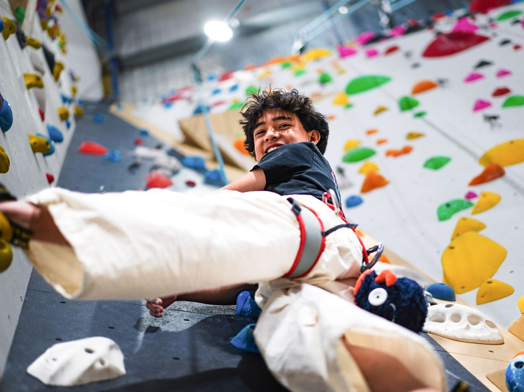 Cliffhanger Climbing Gym-阿尔托纳必去景点