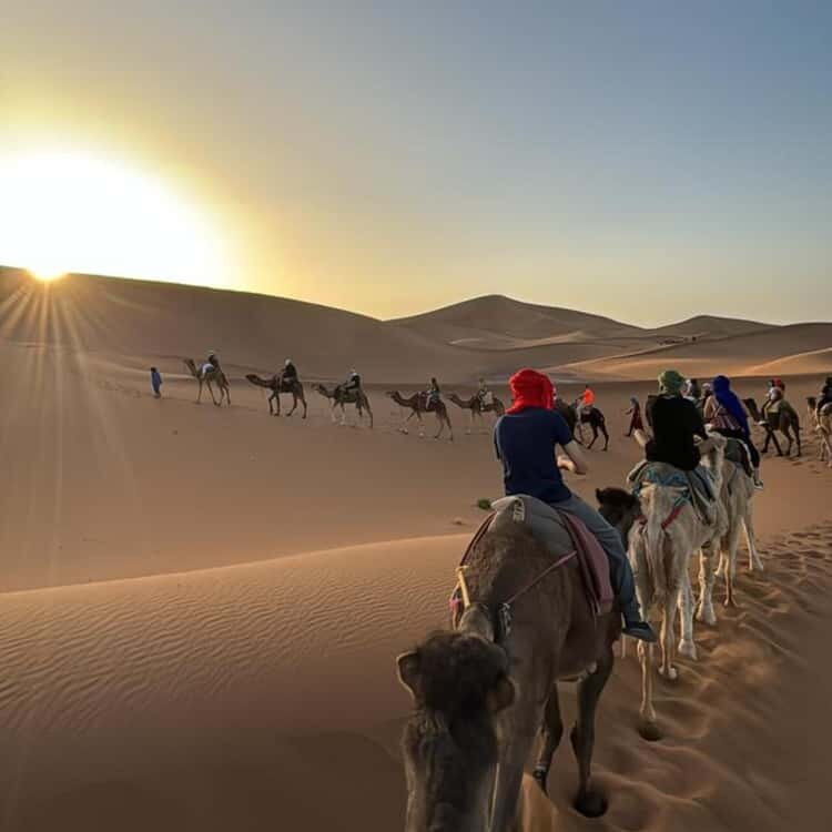 Morocco Gate Tours-非斯必去景点