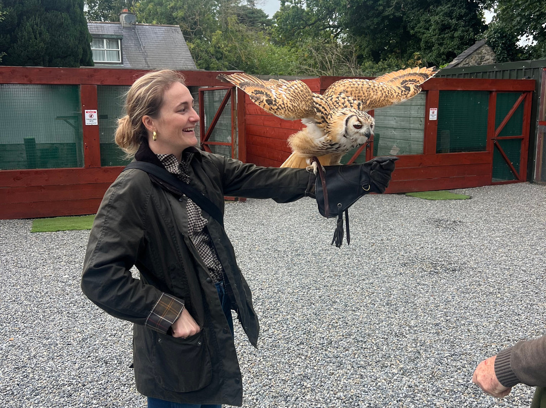 Dublin Falconry-Castleknock必去景点