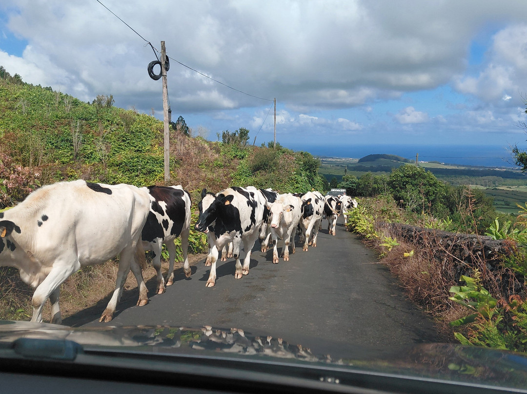 Serra do Cume Viewpoint-Praia da Vitória必去景点