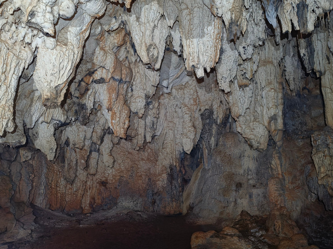 Hidden Gems of Bermuda Ltd.-Sandys Parish必去景点