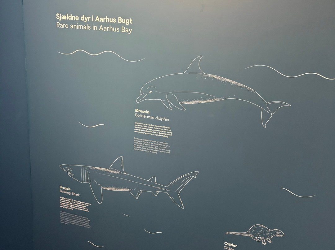 Aarhus Øje-欧胡斯必去景点