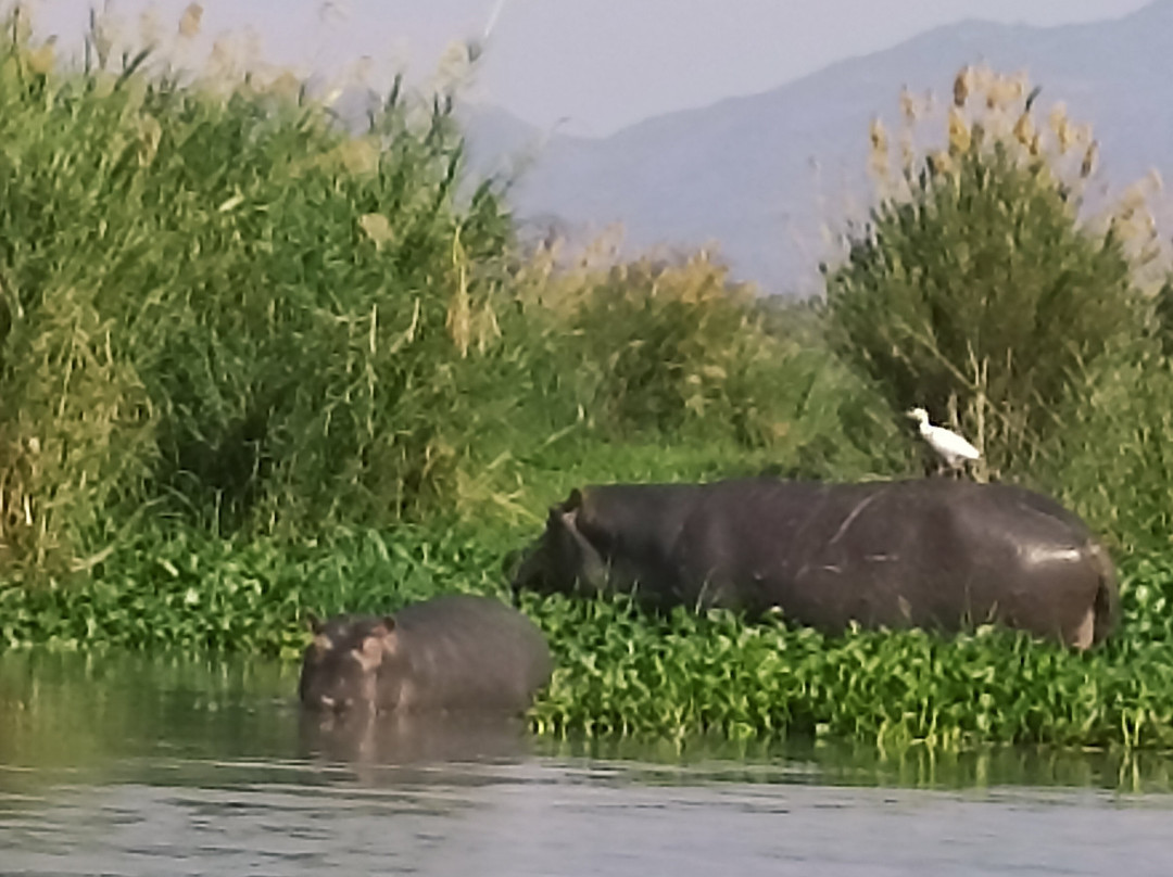 Liwonde National Park-Liwonde必去景点