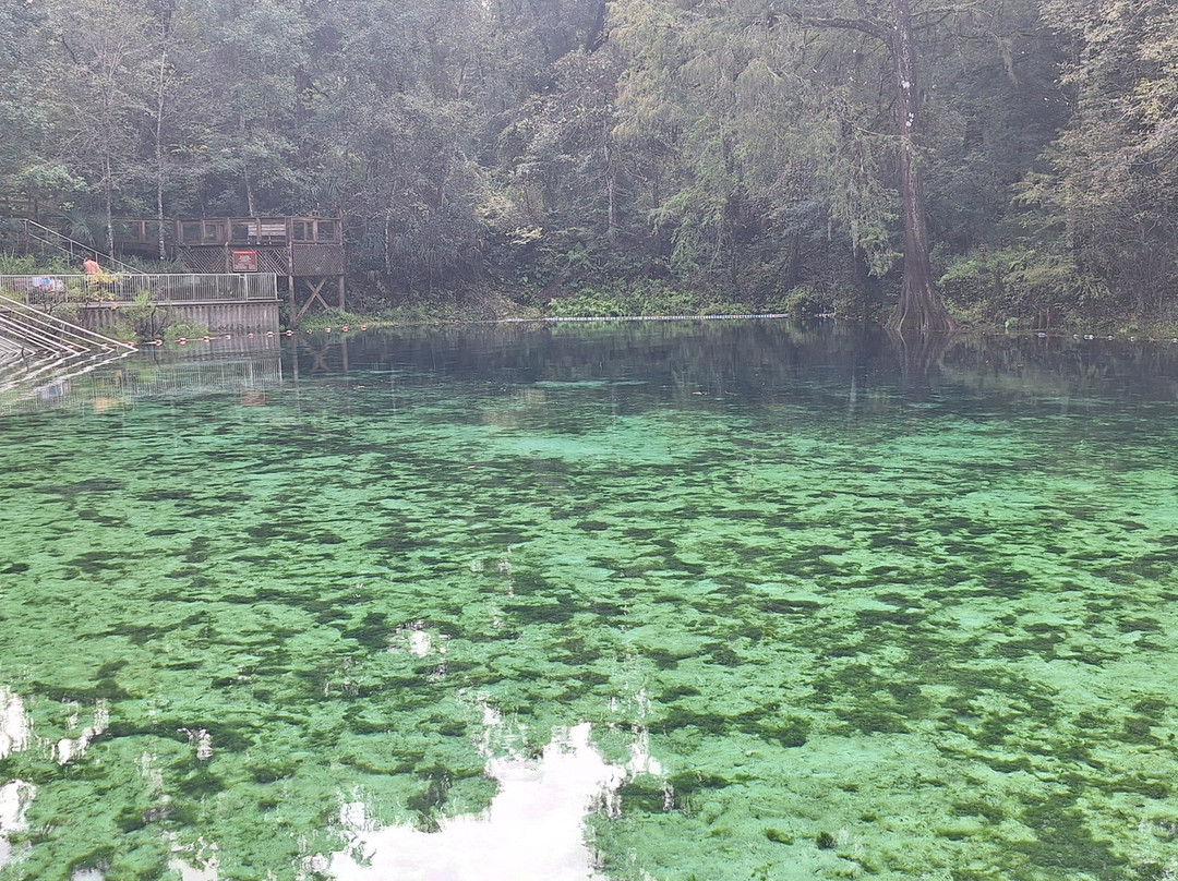 Fanning Springs State Park-Fanning Springs必去景点